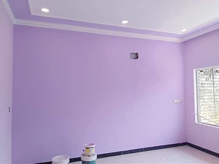 Wall Paint